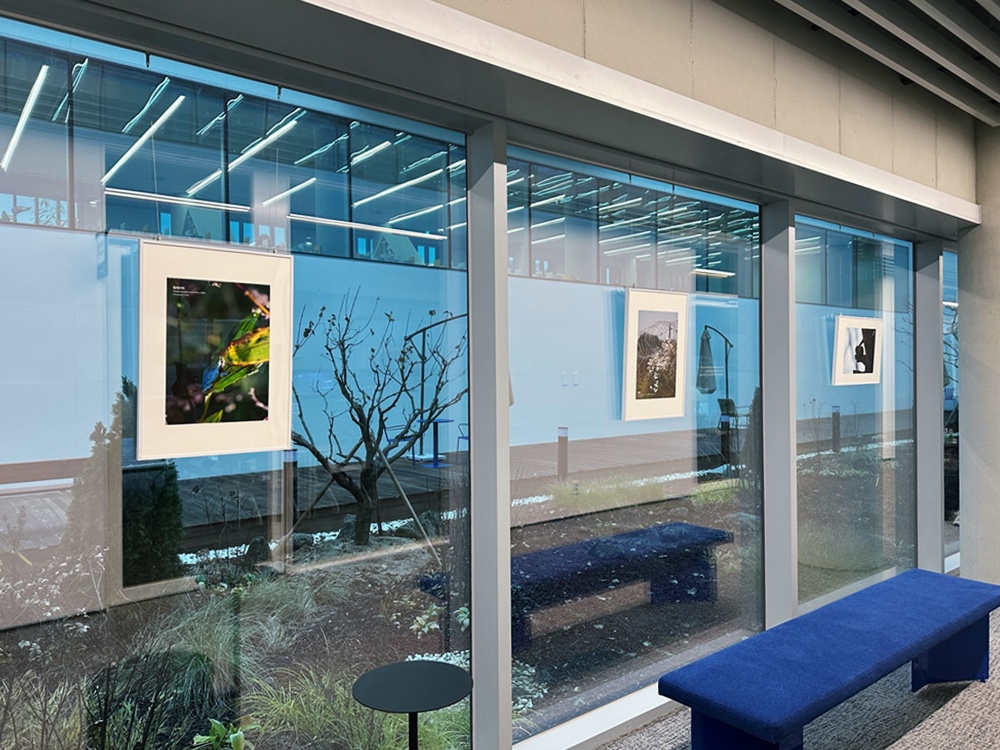 생태사진전 《경계의 생명들》