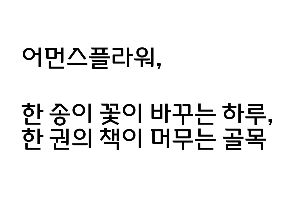 [컬렉션 버스킹] 한 송이 꽃이 바꾸는 하루, 한 권의 책이 머무는 골목