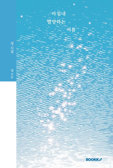 마침내 멸망하는 여름 : 정 시집