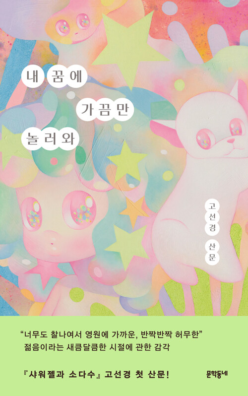 내 꿈에 가끔만 놀러와 : 고선경 산문