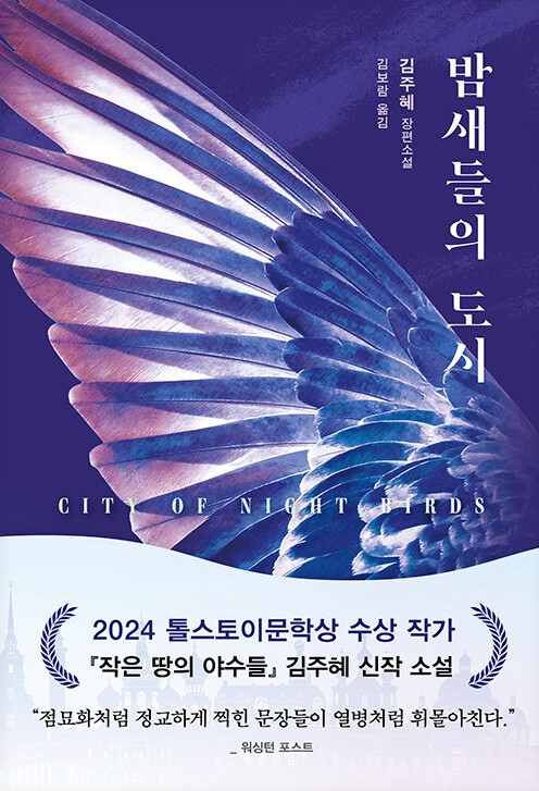 밤새들의 도시 : 김주혜 장편소설