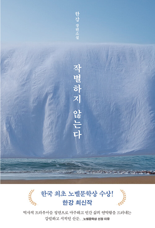 작별하지 않는다  : 한강 장편소설