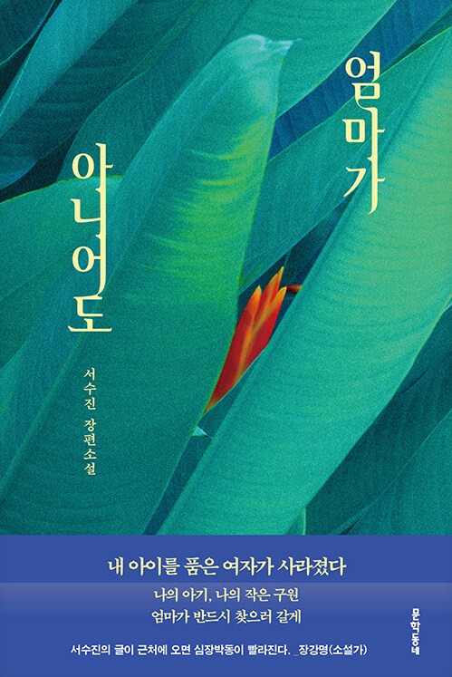 엄마가 아니어도 : 서수진 장편소설