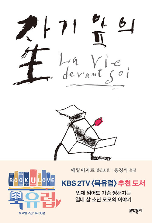 자기 앞의 生 : 에밀 아자르 장편소설