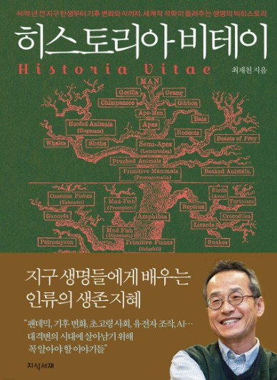 히스토리아 비테이 = Historia vitae