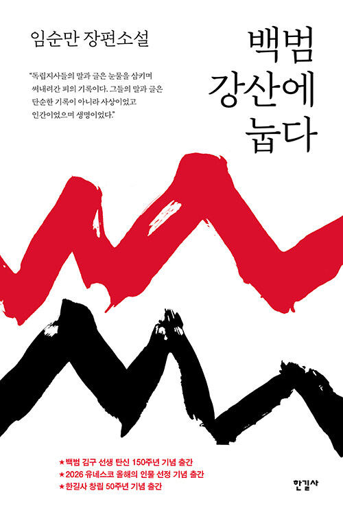 백범 강산에 눕다  : 임순만 장편소설