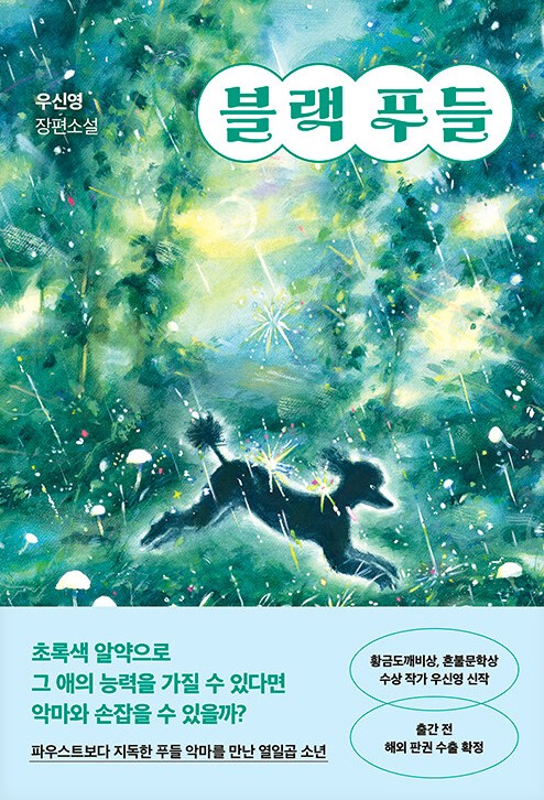 블랙 푸들 : 우신영 장편소설